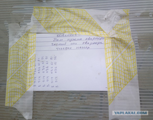 Лучшее народное творчество февраля