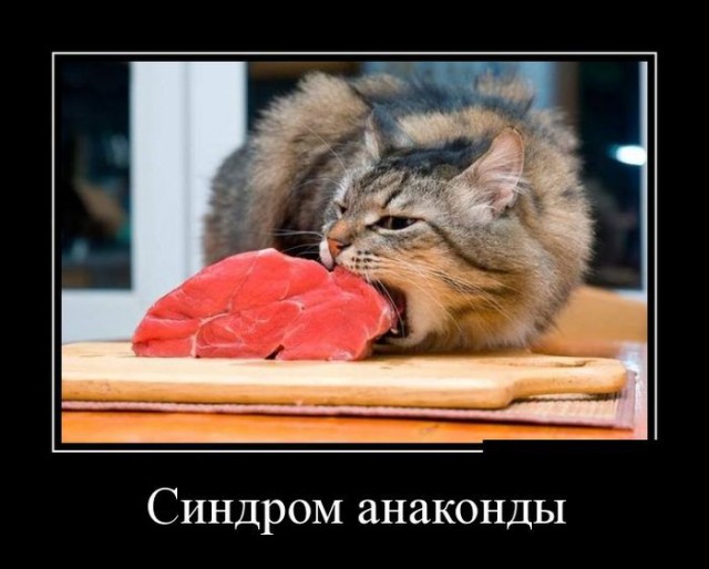 Хватит негатива на сегодня, пятница же!