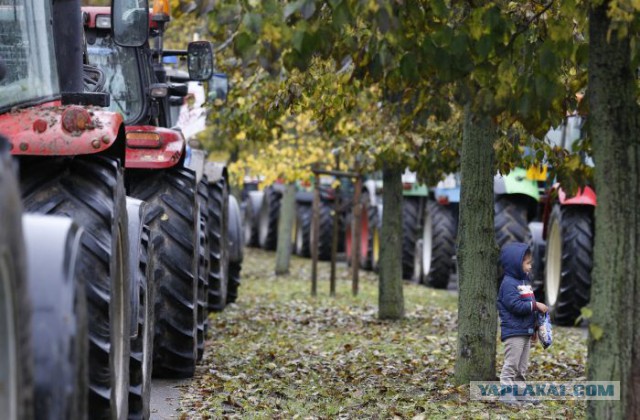 День протеста французских фермеров.