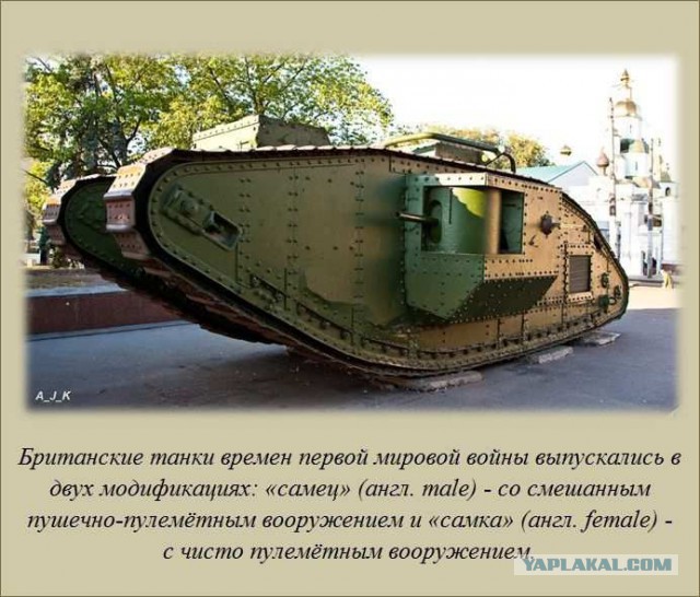 20 фактов обо всем