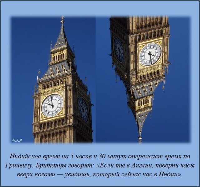 20 фактов обо всем