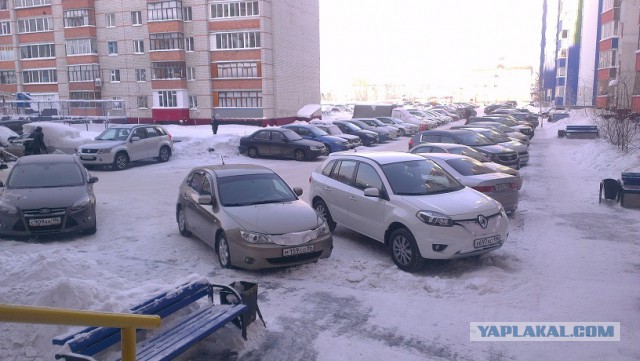 Перепись субароводов ЯПа