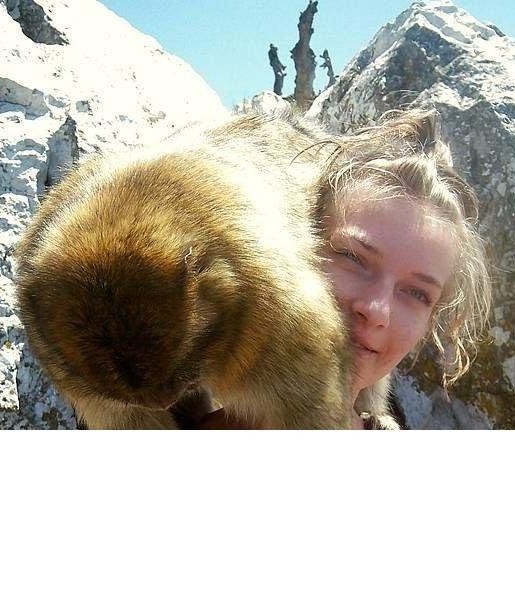 Прекрасное притягивает не только людей, но и ...