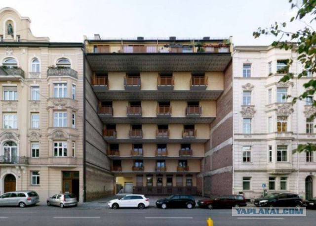41 веселая картинка