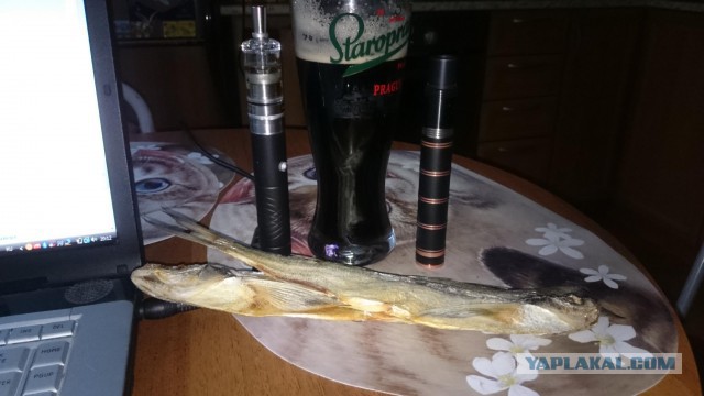 Вся правда об электронных сигаретах