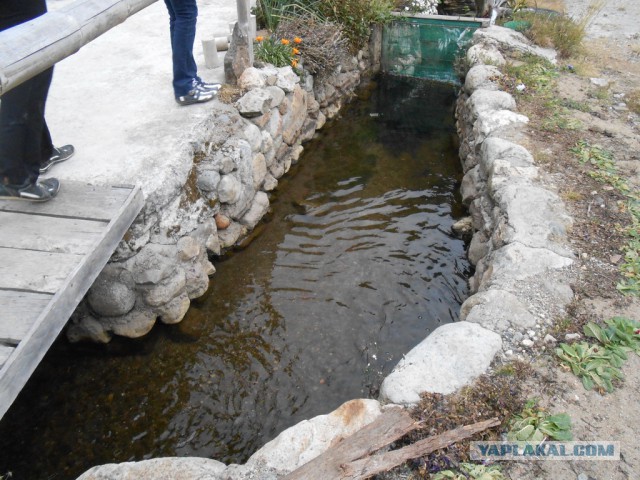 Рыбная ферма. Эквадор