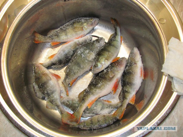 Электронная сигарета, матчасть и выбор