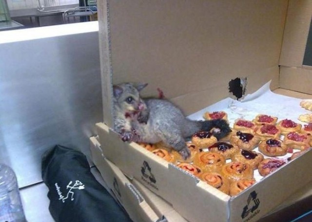 Подборка картинок