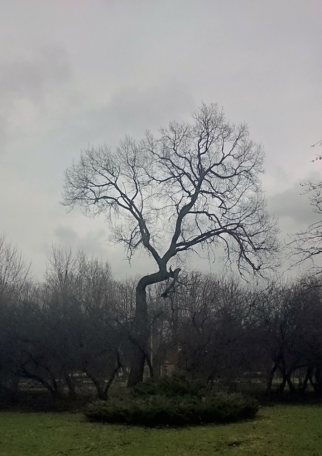 Красивая Россия