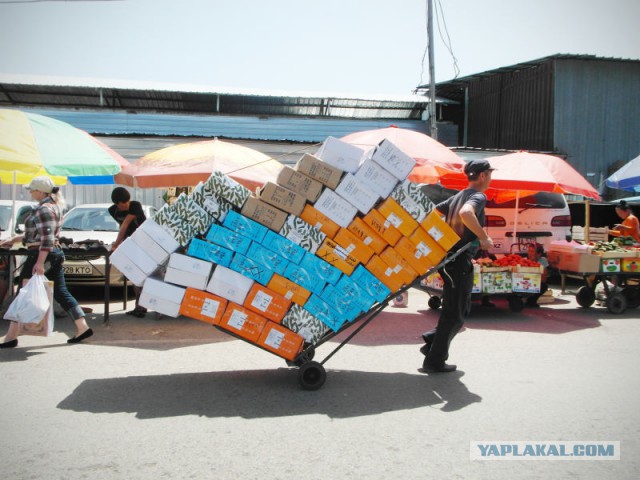 Везут же люди!