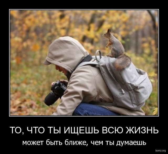 Подборка смешных, не очень и просто красивых фотографий