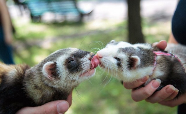 Подборка прикольных фото