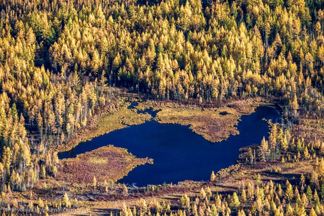 Осенние краски якутской тайги с вертолета