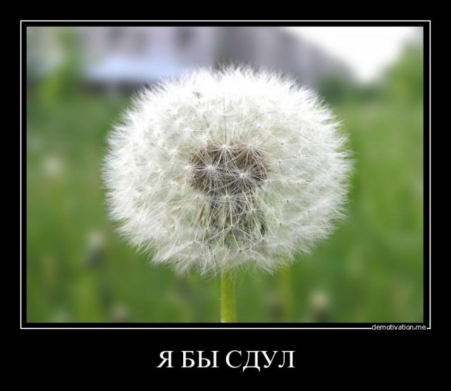 Я собрал вас здесь, потому что вы пазл