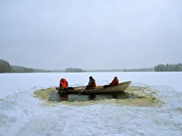Подборка безудержного веселья