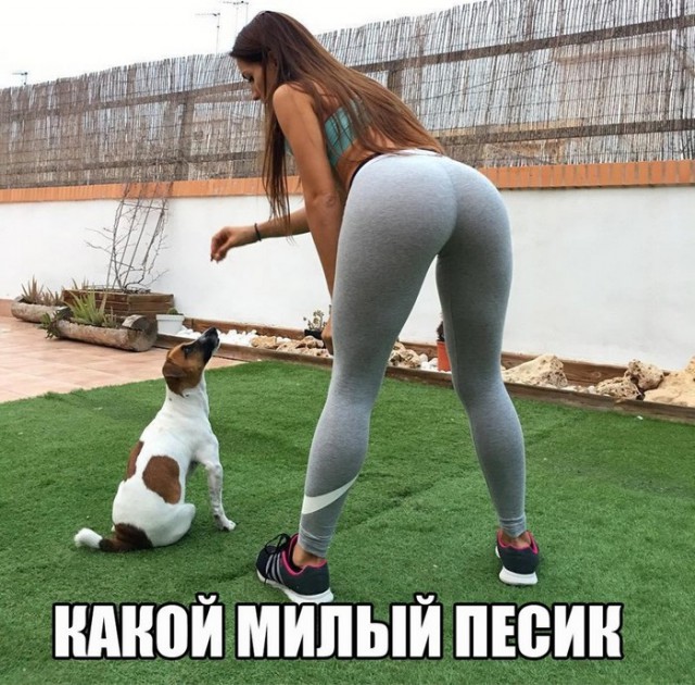 Подборка интересных и веселых картинок