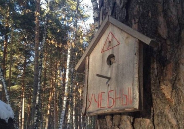 Всякие разные картинки