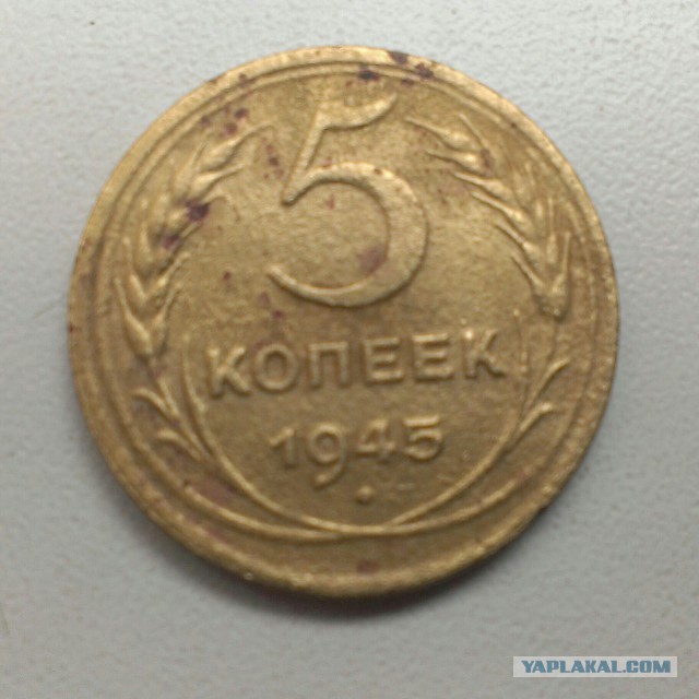 Как я Клад в глухом лесу искал..