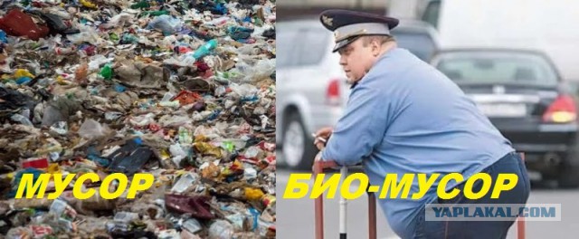 Полицейские избивают мужчину, обратившегося к ним за помощью