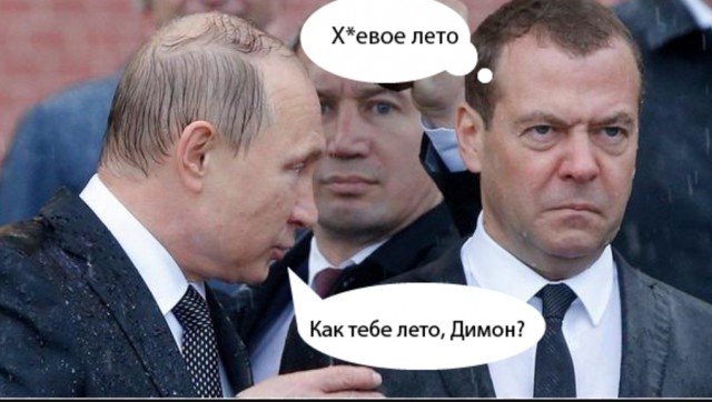 Вот оно какое, наше лето.