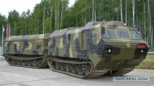 Все встряли.