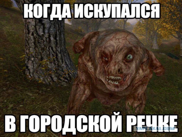 Деградировать подано, дамы и господа!