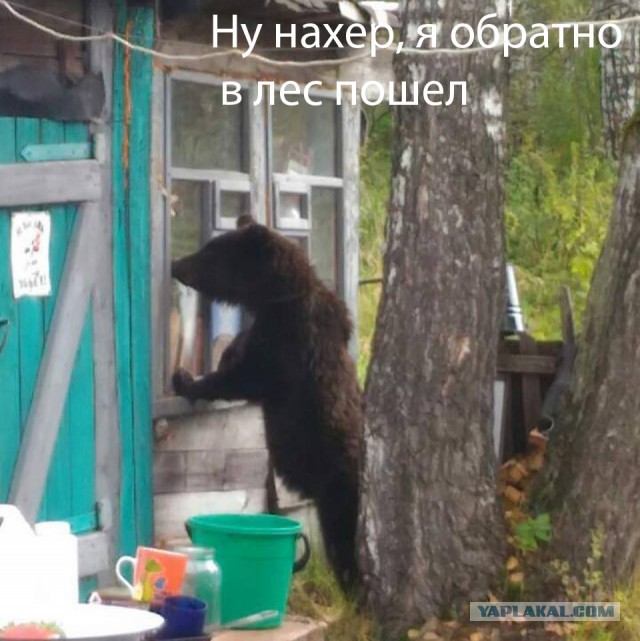 Анонимные признания дамочек. Бедные их парни и мужья...