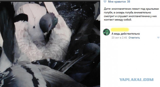 Пациент из Одноклассников, имеющий все шансы стать иконой современного искусства