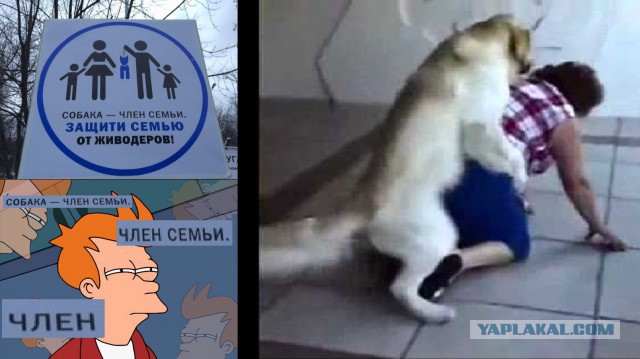 Картинки для настроения