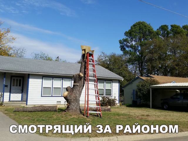 Нестандартный юмор