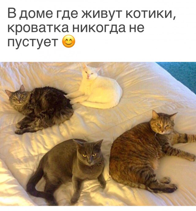 Немного милоты