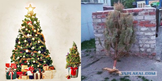 Как на заре карьеры выглядели певицы, которые радикально сменили имидж