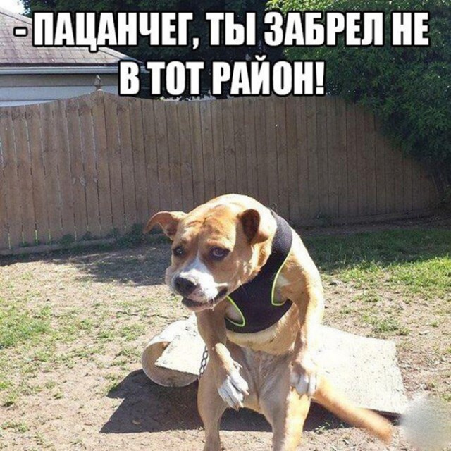 5 советов безумного маркетолога: нищебродам не читать!