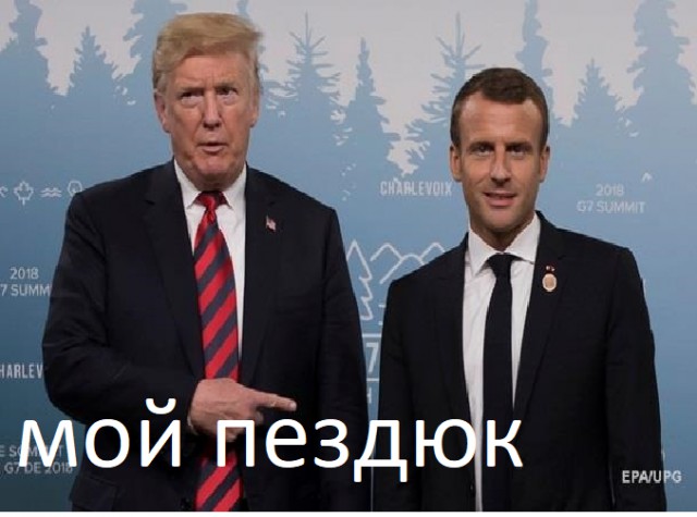 Прикольные картинки с надписями