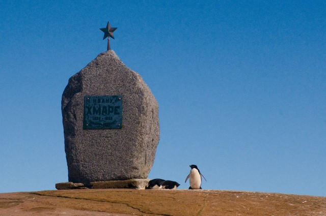 Живность из сети