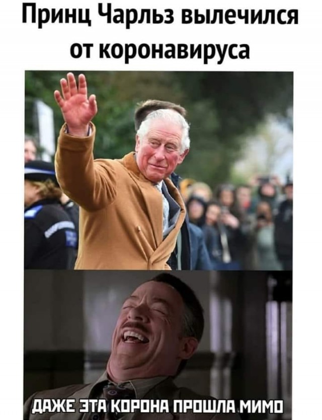 Кучка картинок №0