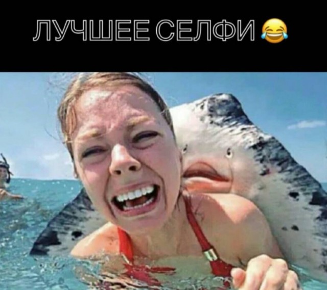 Юмор в картинках 16.08.20