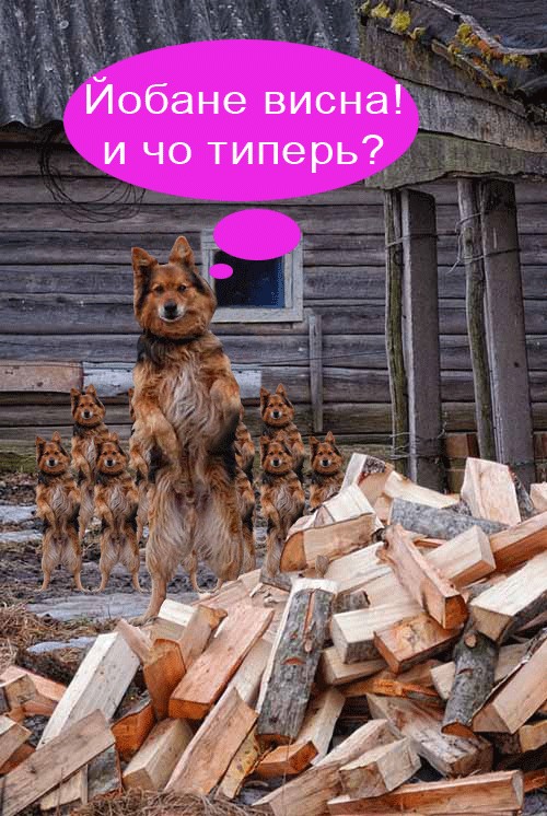 Каникулы в Простоквашино