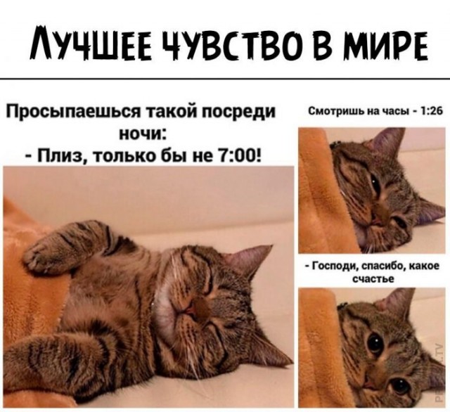 Немного картинок для настроения 01.10.20