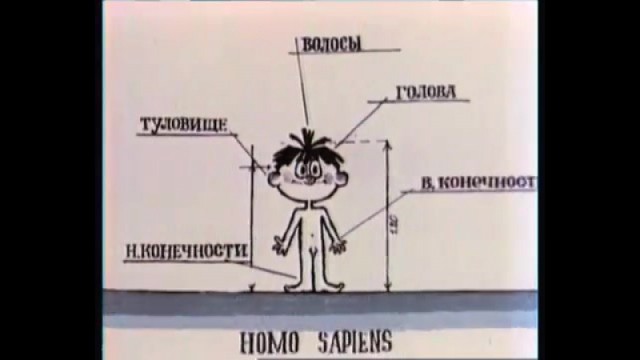 Обнажёнка в советских мультиках