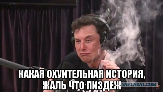 Почему плешивый не пользуется интернетом? Ответ снизу