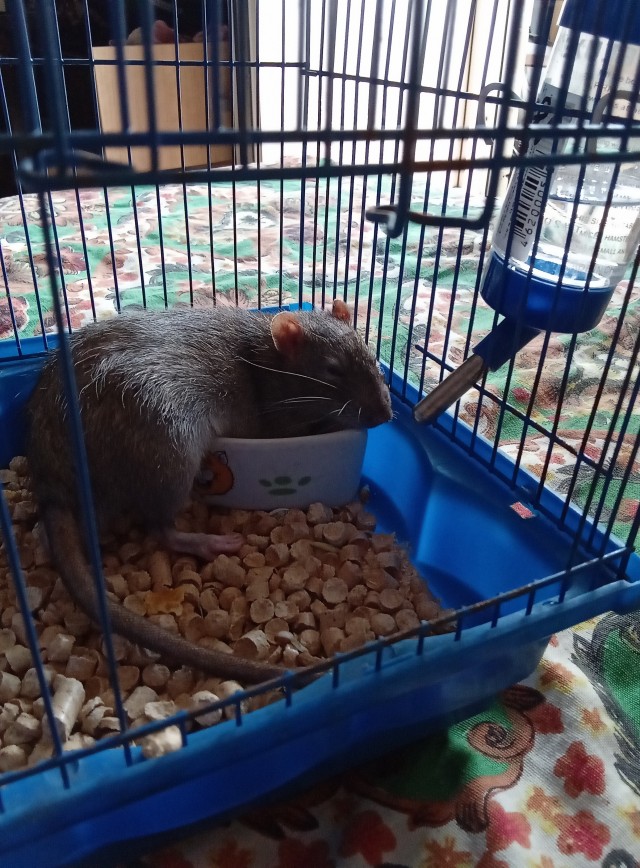 Женщина с дочкой