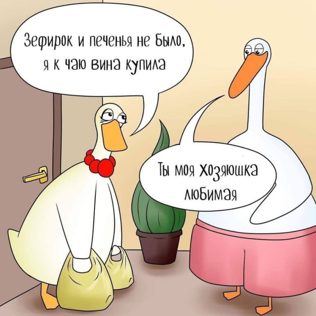 Всяческие картинки 19.07.2021