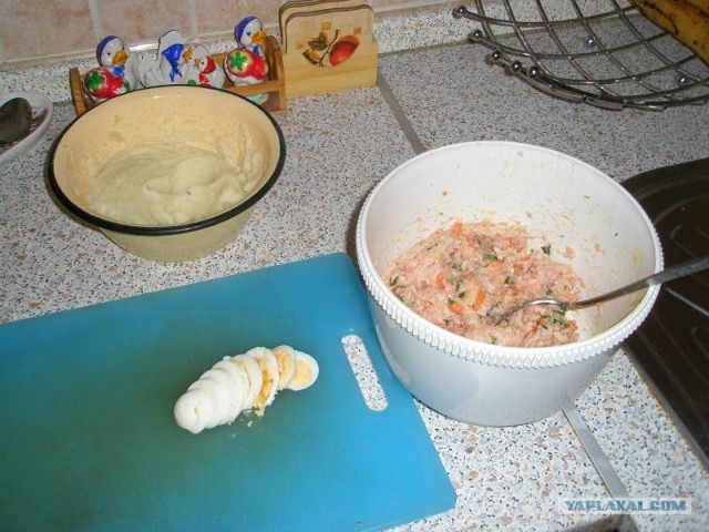 Праздник для питомца