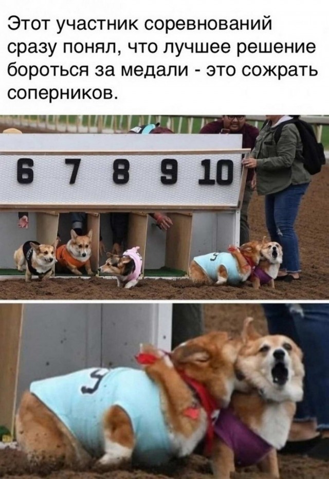 Картинки и мемы для настроения 14.08.2021