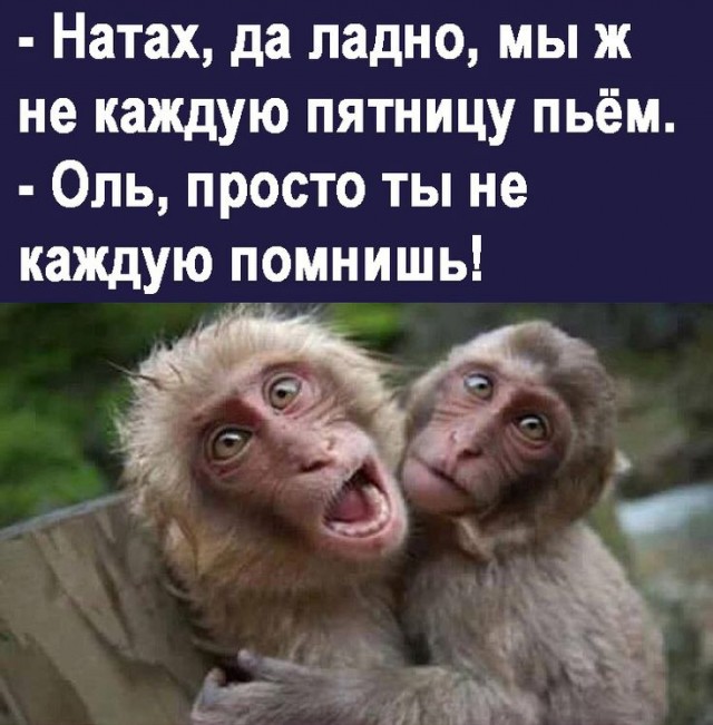 Алкопост 8.10.21