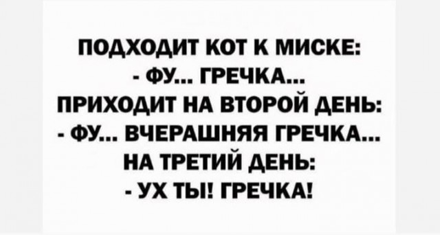 "Купил коту игрушку" и другие картинки