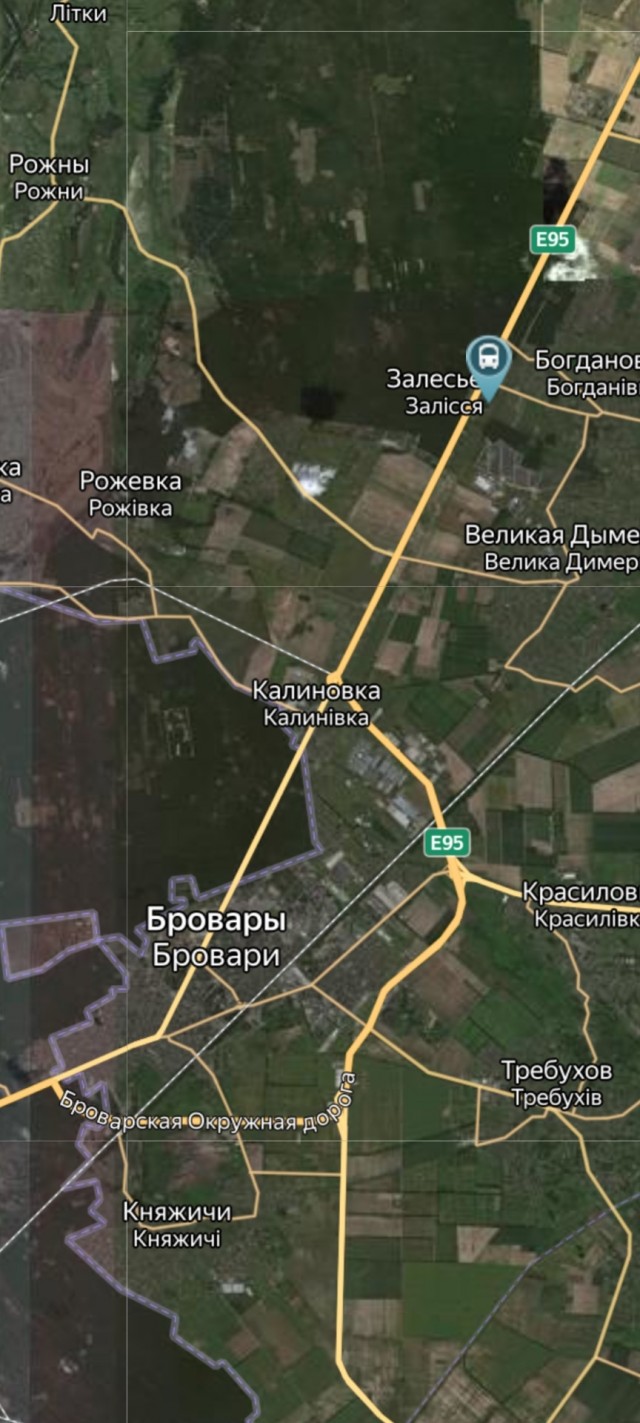 Кадры движения колонны российской бронетехники в 44 километрах от украинской столицы.