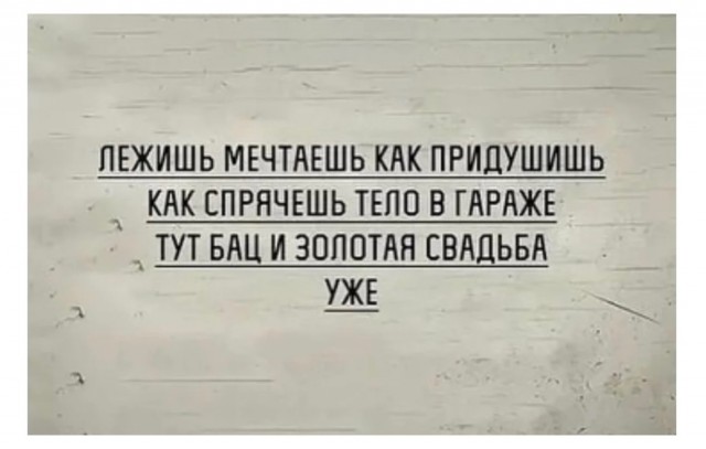 Весёлый полтишок 14.06.22
