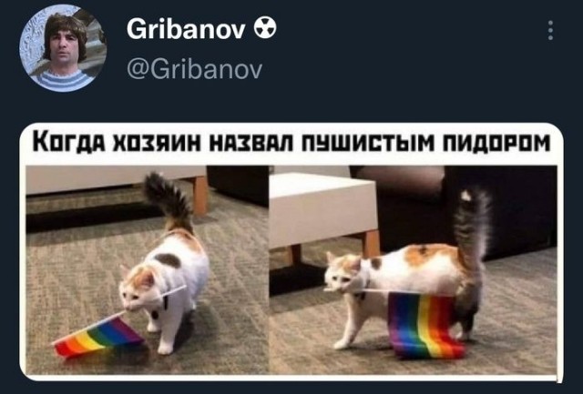 Так себе картинки 14.06.22